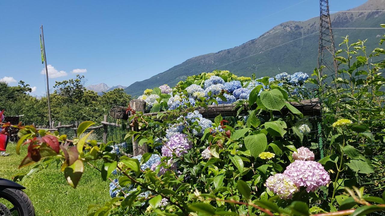 Agriturismo Volpe Golosa Morbegno Kültér fotó